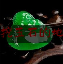 新疆伊犁挖玉石的地方在哪里,伊犁玉石鉴定所