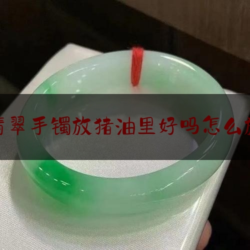 翡翠手镯放猪油里好吗怎么放,豆种翡翠手镯怎么养才能透