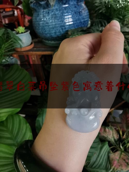 翡翠白菜吊坠紫色寓意着什么,翡翠白菜的价值