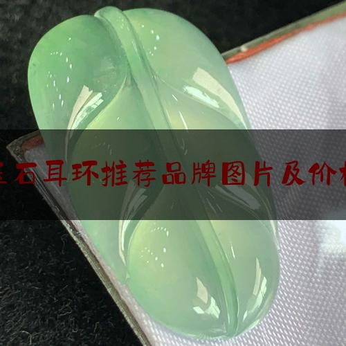 玉石耳环推荐品牌图片及价格,耳环最好的品牌是什么