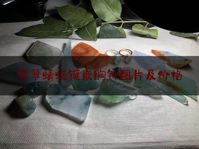 翡翠蜻蜓镶嵌胸针图片及价格,翡翠胸针都是用边角料做的?那为何价值如此高呢