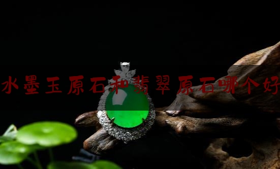 水墨玉原石和翡翠原石哪个好,如何看懂翡翠原石与水沫玉的区别视频