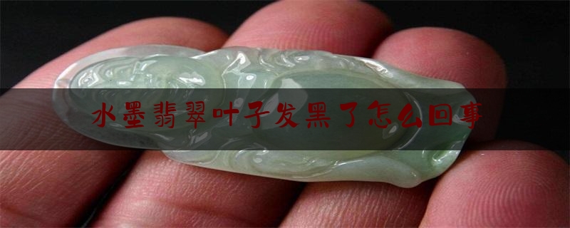 水墨翡翠叶子发黑了怎么回事,植物叶片变黄原因