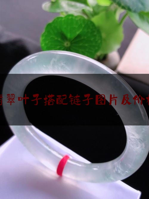 翡翠叶子搭配链子图片及价格,翡翠豆子和叶子的寓意