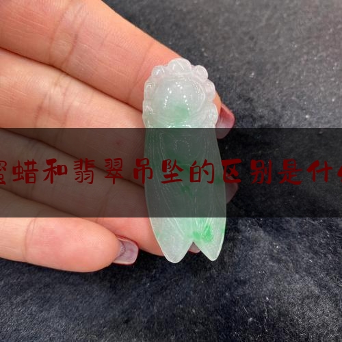 蜜蜡和翡翠吊坠的区别是什么,蜜蜡与翡翠哪个更具灵性