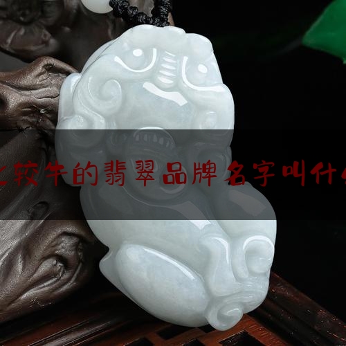 比较牛的翡翠品牌名字叫什么,翡翠手镯价格表