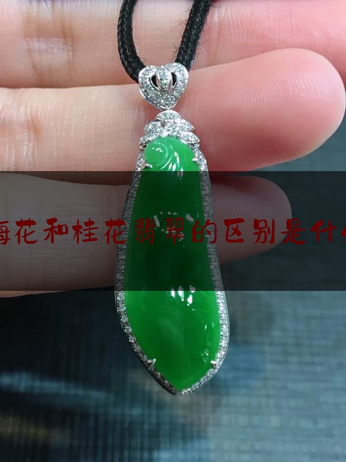 梅花和桂花翡翠的区别是什么,梅花玉是什么玉图片大全