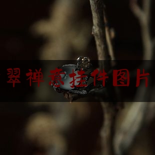 绿色翡翠禅意挂件图片及价格,飘阳绿的翡翠怎么样