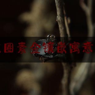 翡翠戒圈素金镶嵌寓意是什么,金和玉一起戴的含义