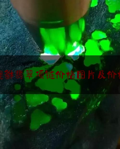 貔貅翡翠项链价格图片及价格,翡翠貔貅吊坠价格多少钱一个