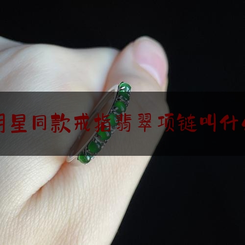 明星同款戒指翡翠项链叫什么,钻石翡翠植物